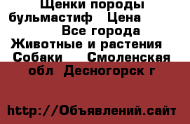 Щенки породы бульмастиф › Цена ­ 25 000 - Все города Животные и растения » Собаки   . Смоленская обл.,Десногорск г.